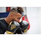 RDX L2 MARK Pro Sparring Boxing Gloves - BLACK/gold